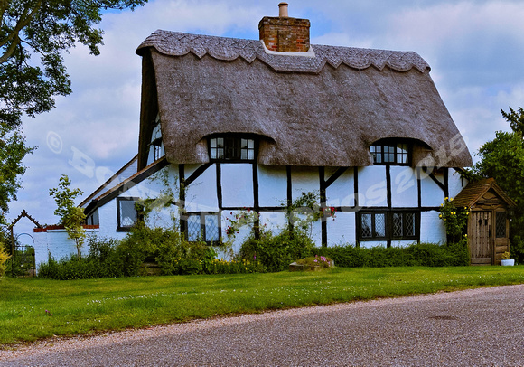 The Thatched Cottage Art