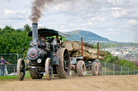 Arrett No 27946 Traction Engine Vera