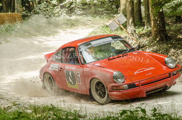 Porsche 911  -  David Maslen
