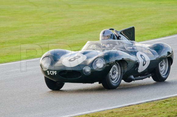 Sussex Trophy  8   Lukas Hini  Jaguar D-type